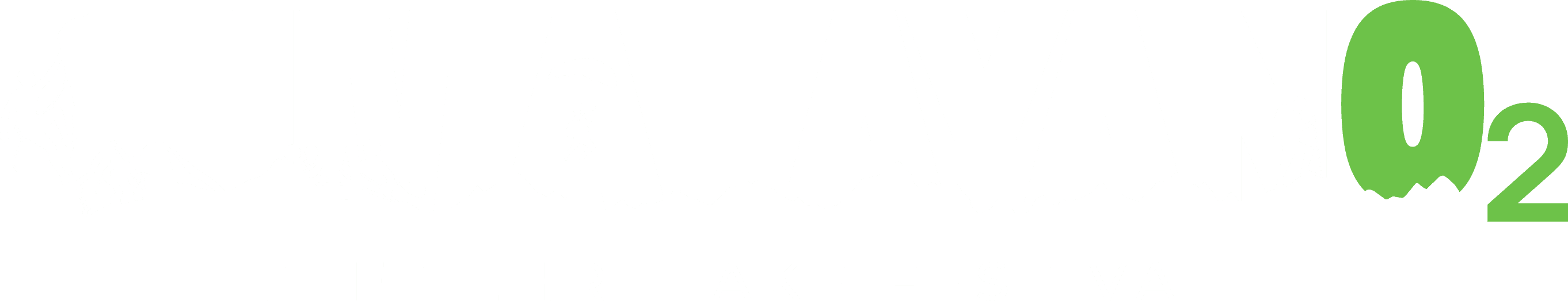 Himalayan O2 - The Tehri Lake Festival